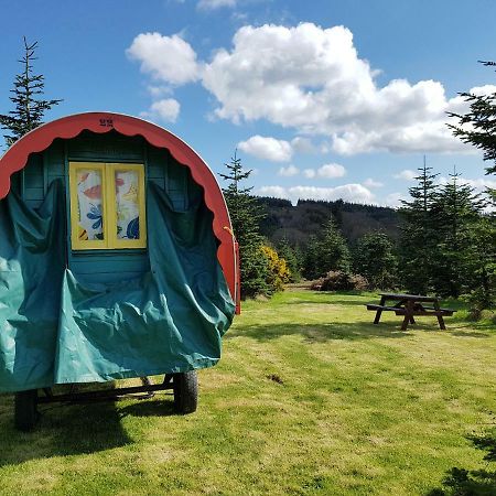 Hotel Clissmann Horse Caravans Glamping Rathdrum Esterno foto