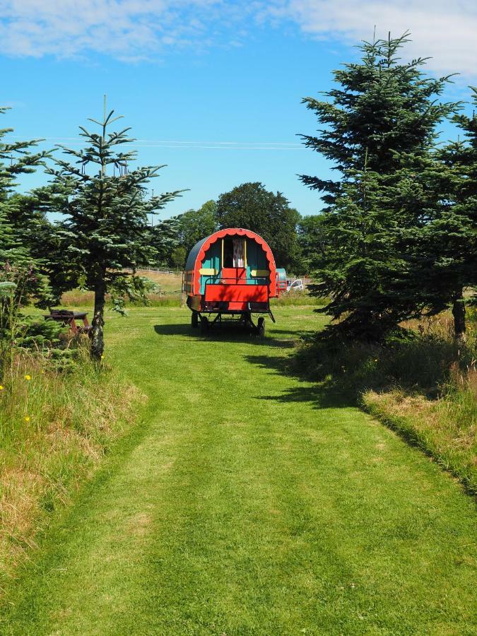 Hotel Clissmann Horse Caravans Glamping Rathdrum Esterno foto