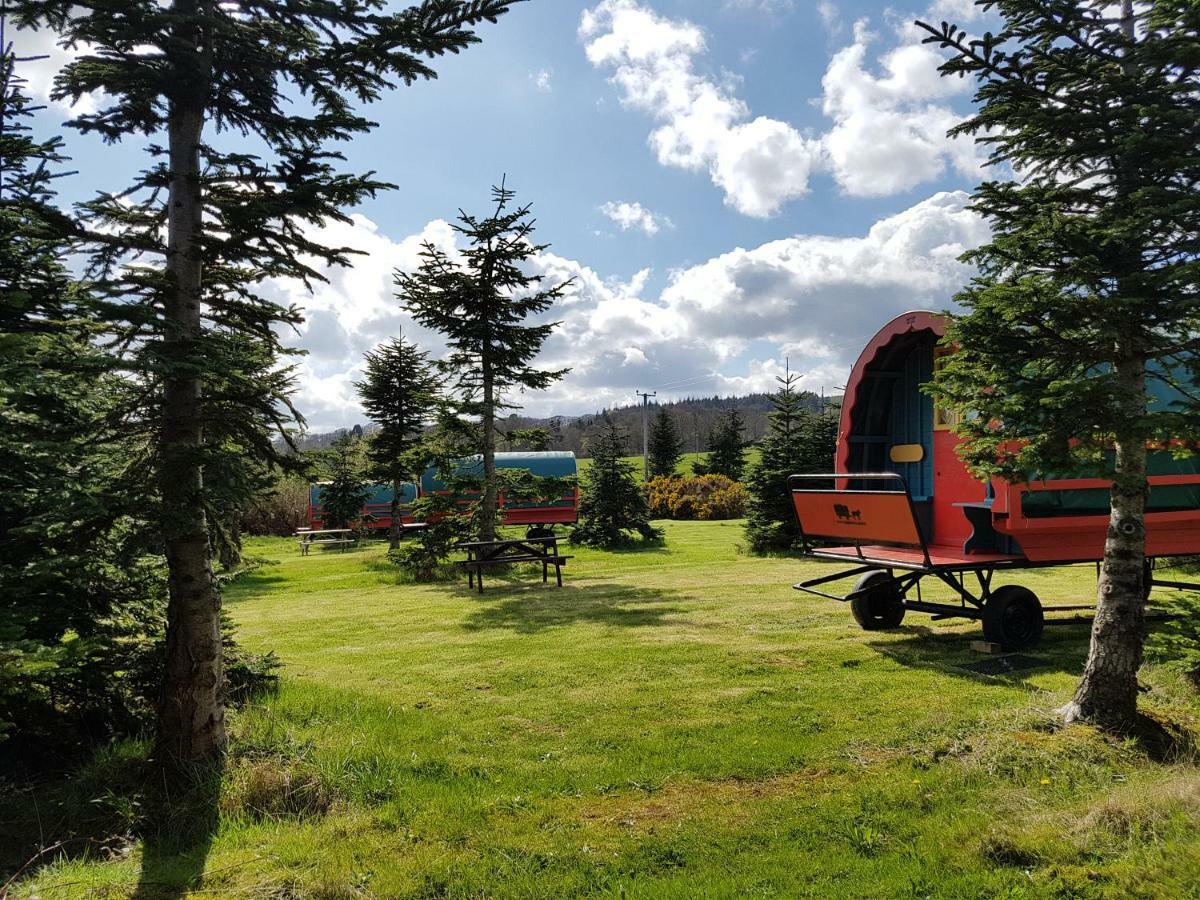 Hotel Clissmann Horse Caravans Glamping Rathdrum Esterno foto