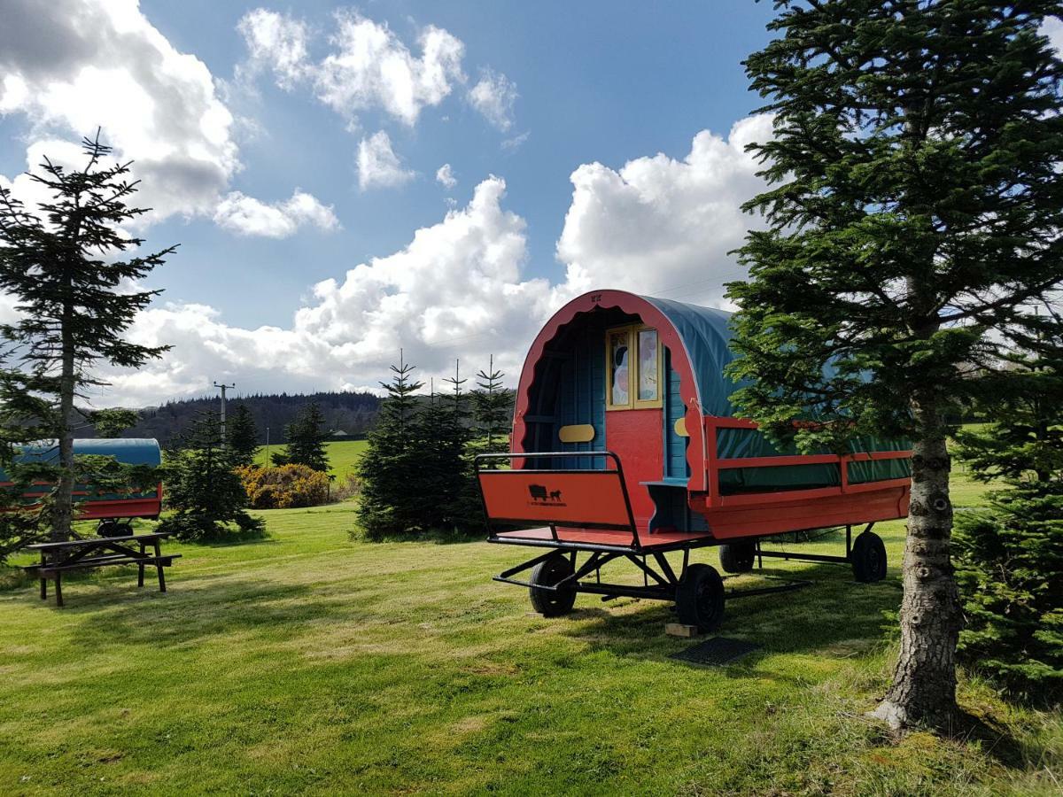 Hotel Clissmann Horse Caravans Glamping Rathdrum Esterno foto