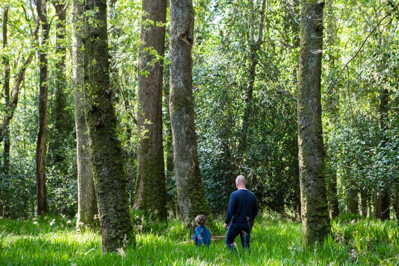 Hotel Clissmann Horse Caravans Glamping Rathdrum Esterno foto