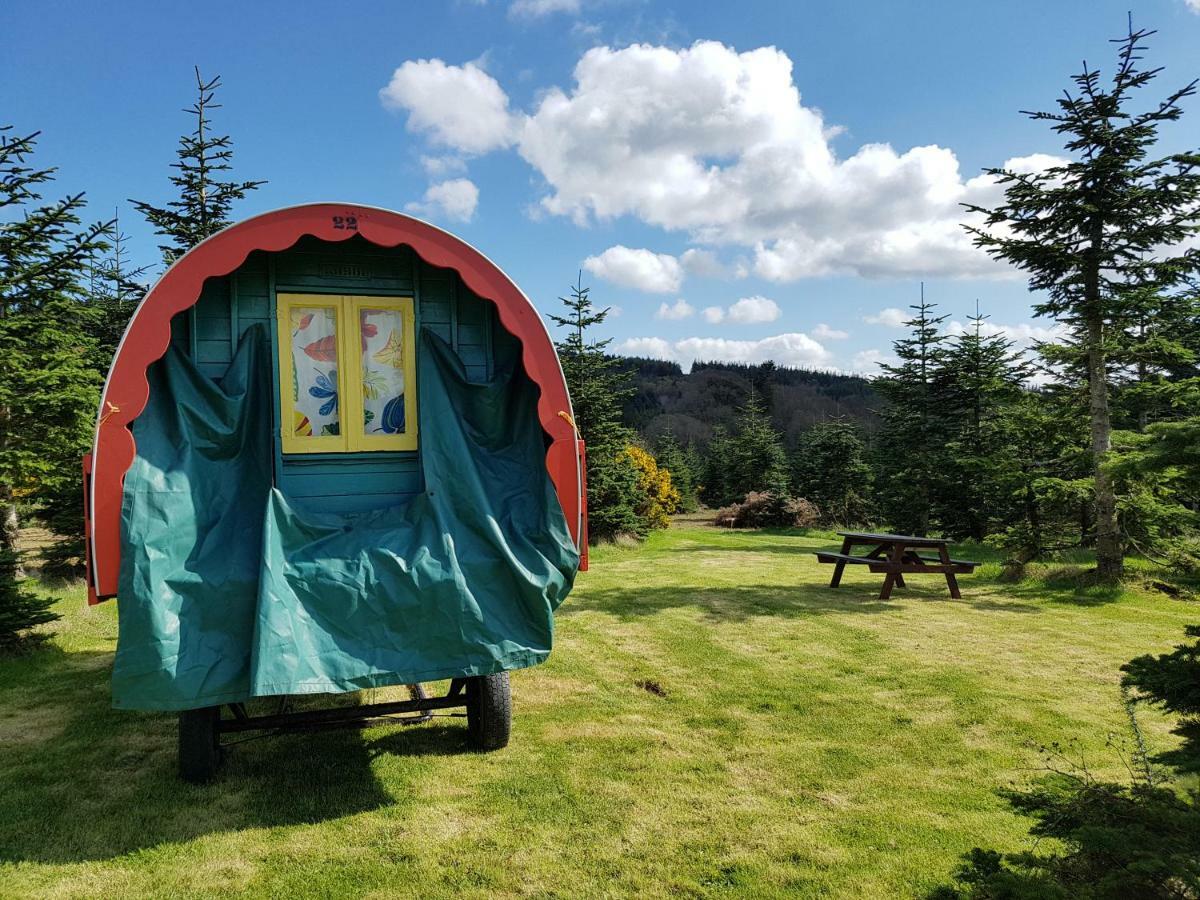 Hotel Clissmann Horse Caravans Glamping Rathdrum Esterno foto