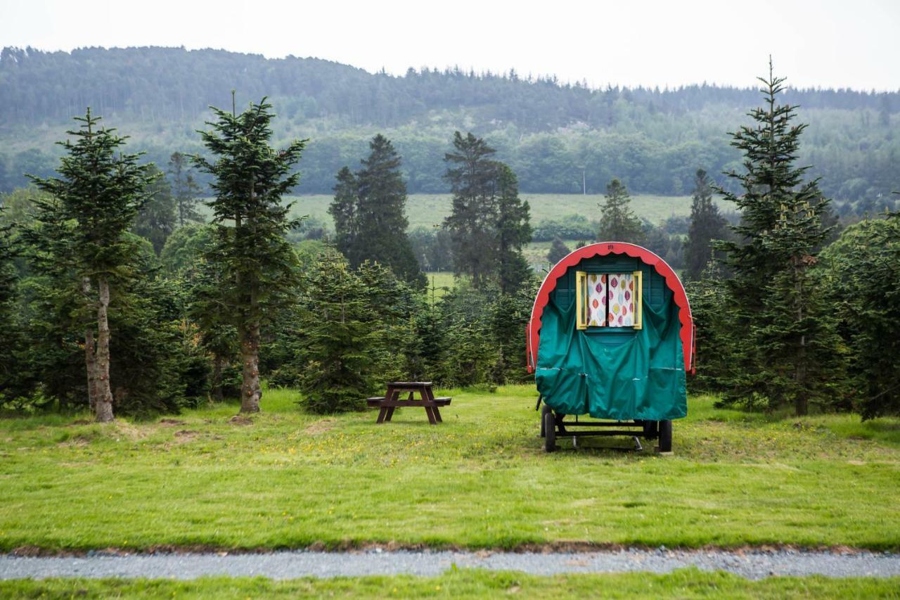 Hotel Clissmann Horse Caravans Glamping Rathdrum Esterno foto